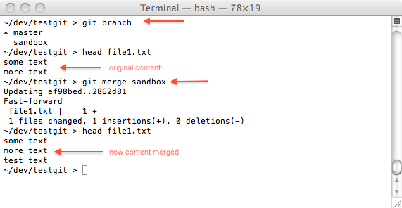 git merge two branches