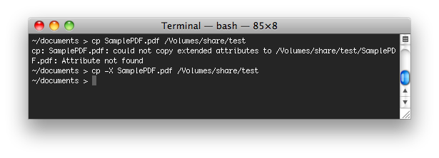 Terminal error on NAS